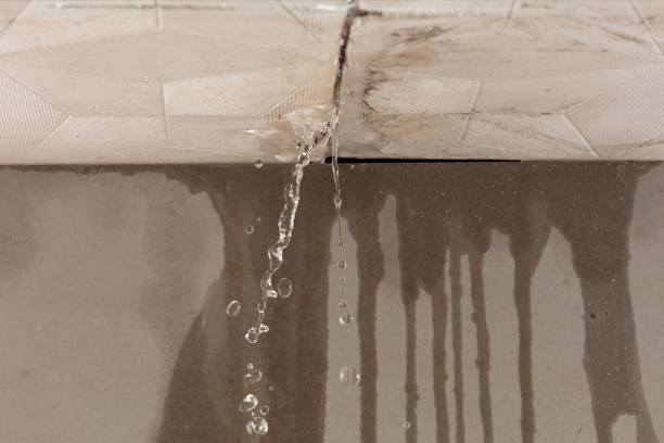 Professional Water Damage Repair technician working in Hingham, WI